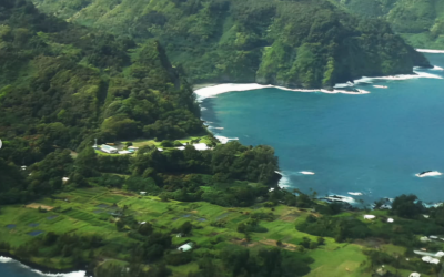 How to Plan an Eco-Conscious Road to Hana Tour