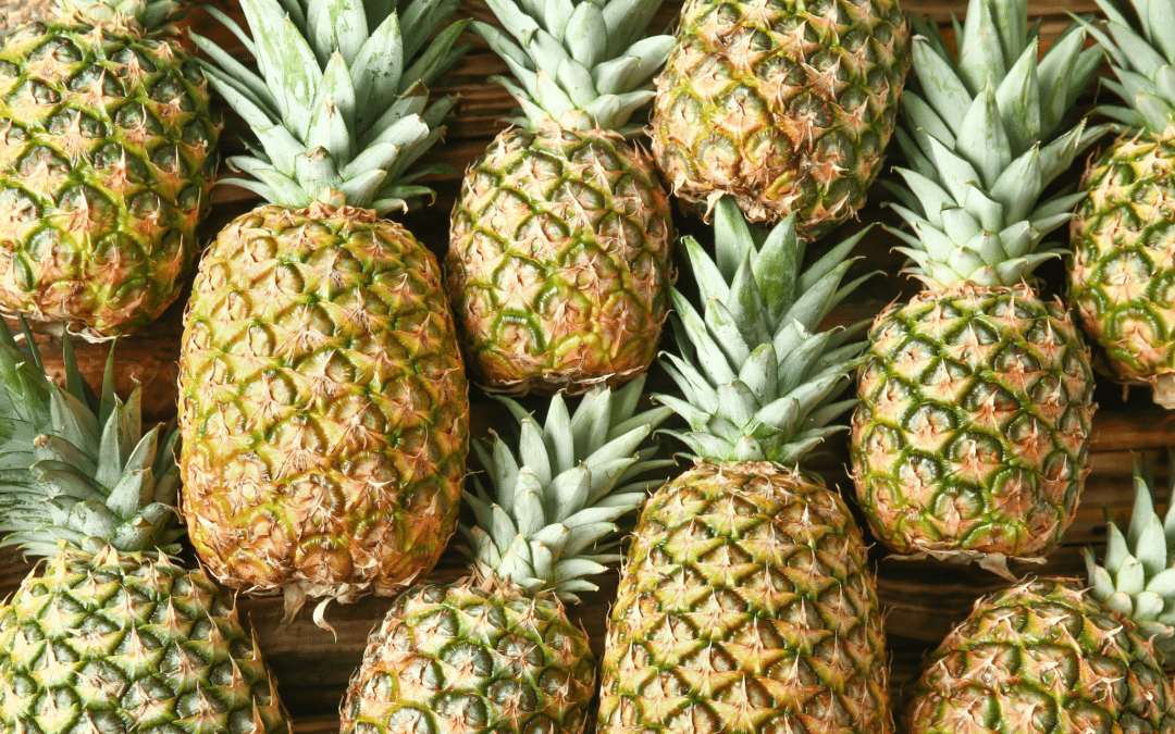 Maui Pineapple Tour: Taste the Sweetest Slice of Aloha on the Island