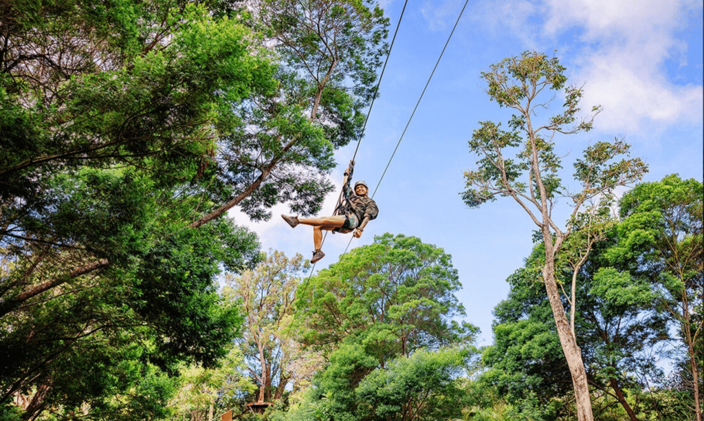 View of the Pacific Ocean from NorthShore Zipline platform