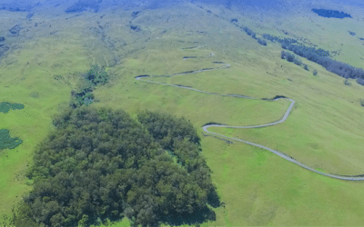 Haleakalā Downhill Bike Tour: Maui’s Most Iconic Mountain-to-Sea Adventure